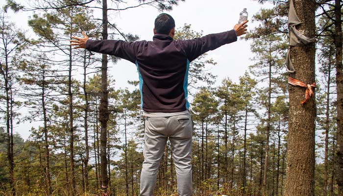 Forest Camp Kalupande Hill